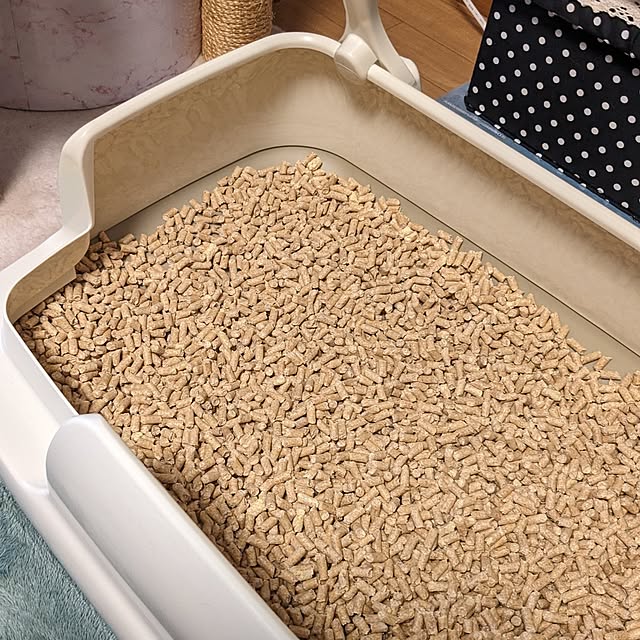 diopucciさんの部屋
