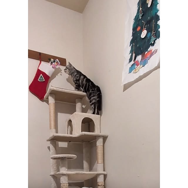 lovepeaceさんの実例写真