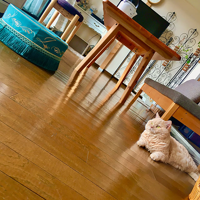 naokoさんの実例写真