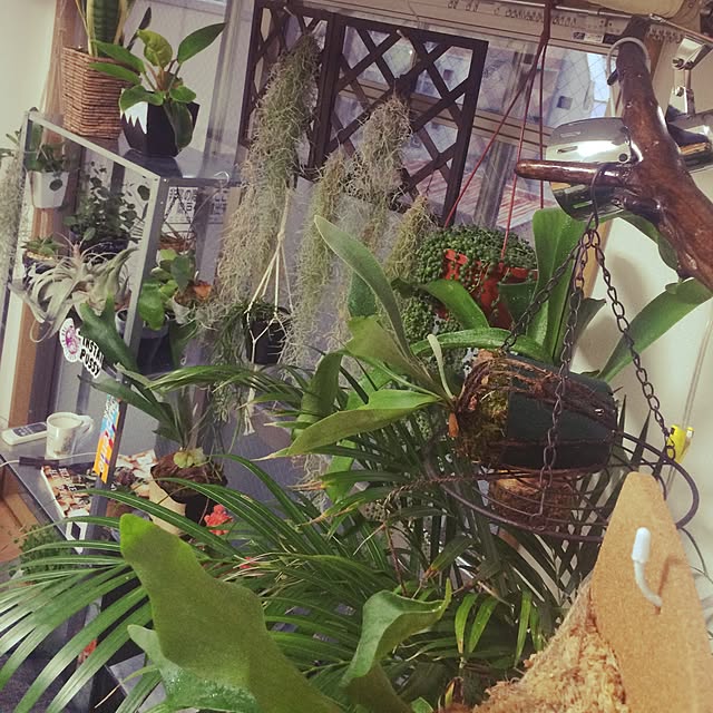 msさんの実例写真