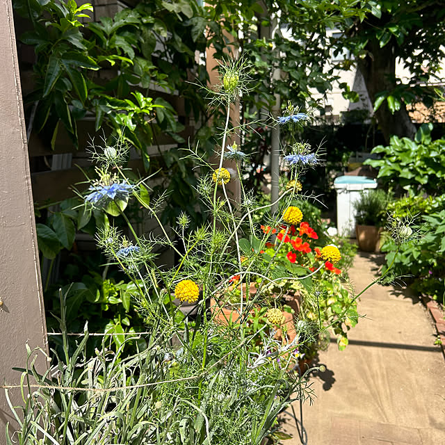 botanさんの部屋