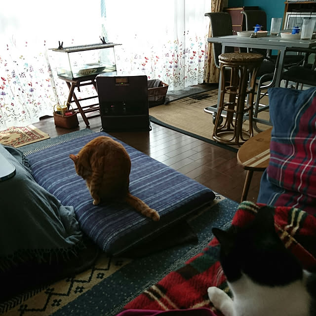 okyosan101さんの実例写真