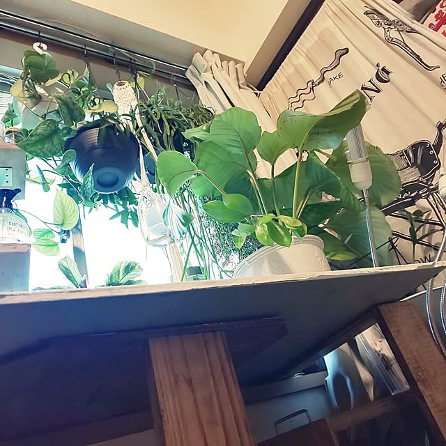 yuuu7712さんの部屋