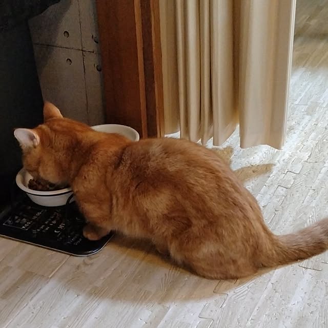 runaさんの実例写真