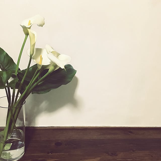 tocoriさんの実例写真