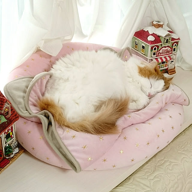 chururiさんの実例写真
