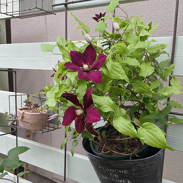 hiroさんの実例写真