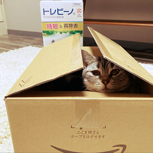 kajikaji103さんの実例写真