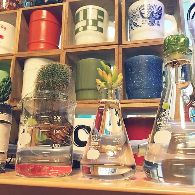 chibabababaさんの実例写真