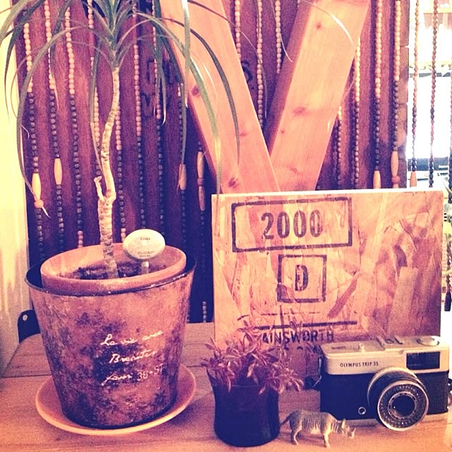 botanさんの実例写真