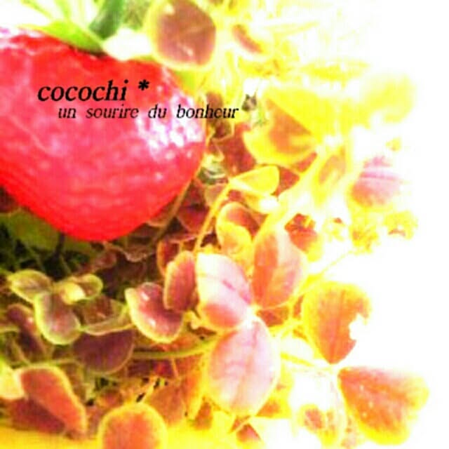 cocochiさんの実例写真