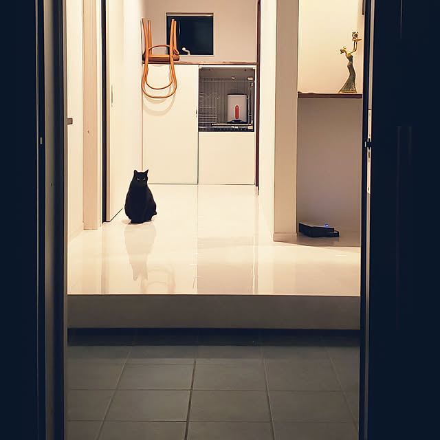 zenoさんの実例写真