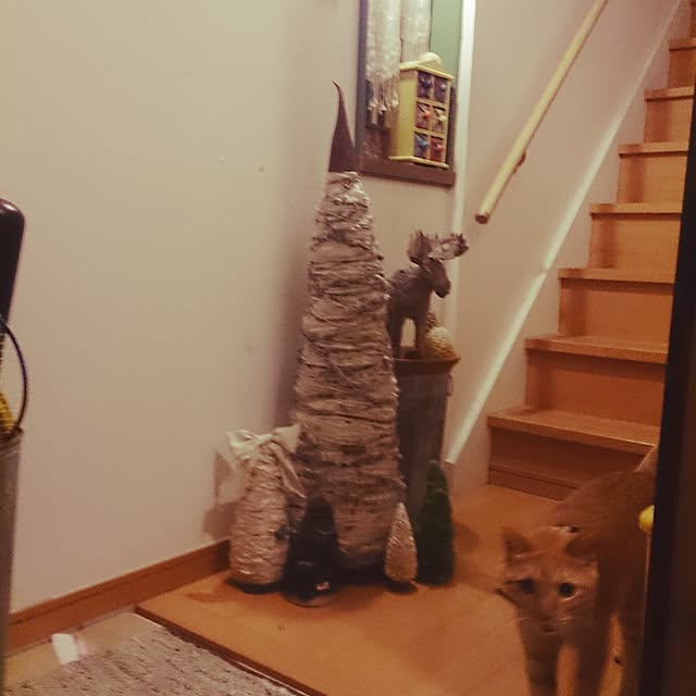 kuhaさんの実例写真