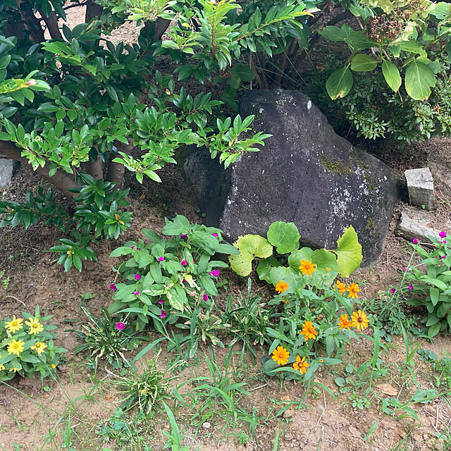 daifukumotiさんの実例写真