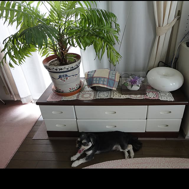 AcchanSaysさんの実例写真