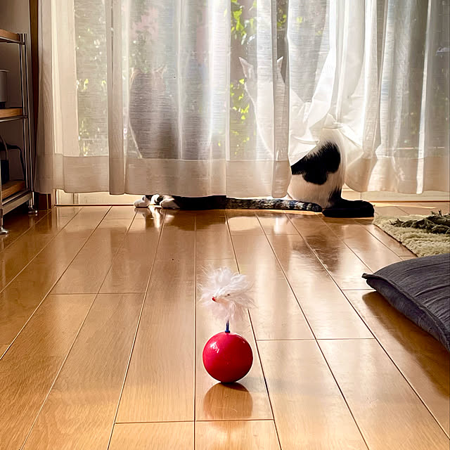 nobikoさんの実例写真