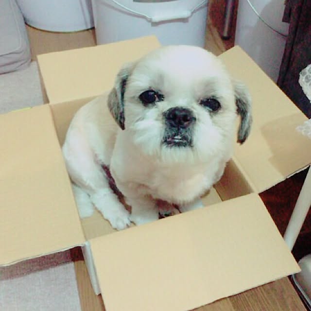 lenkaさんの実例写真