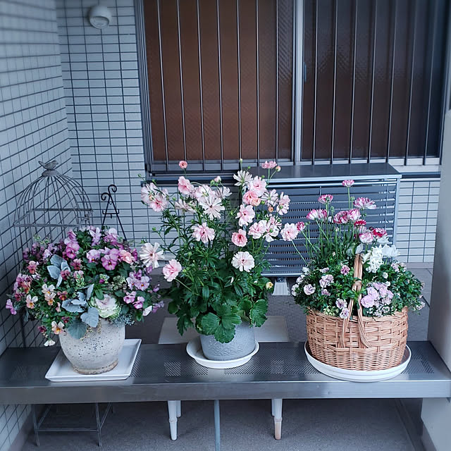 maronnanaさんの実例写真