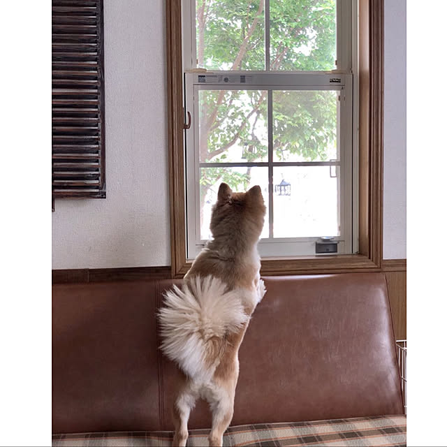 akkyさんの実例写真