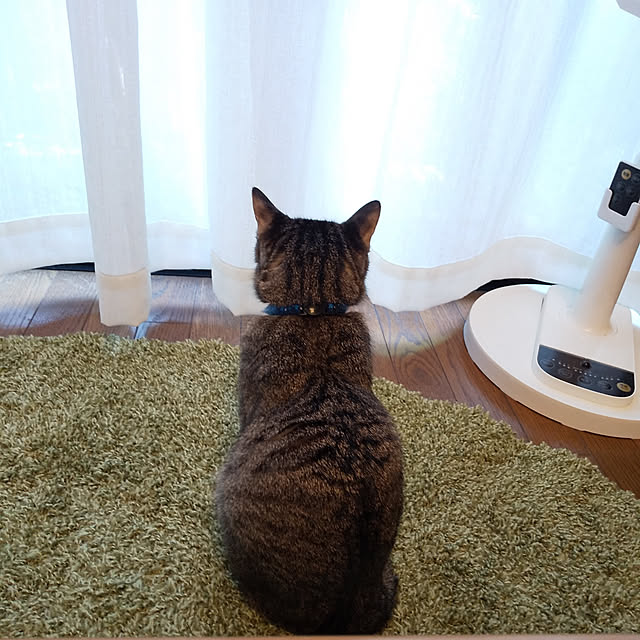 hatsuyukiさんの実例写真