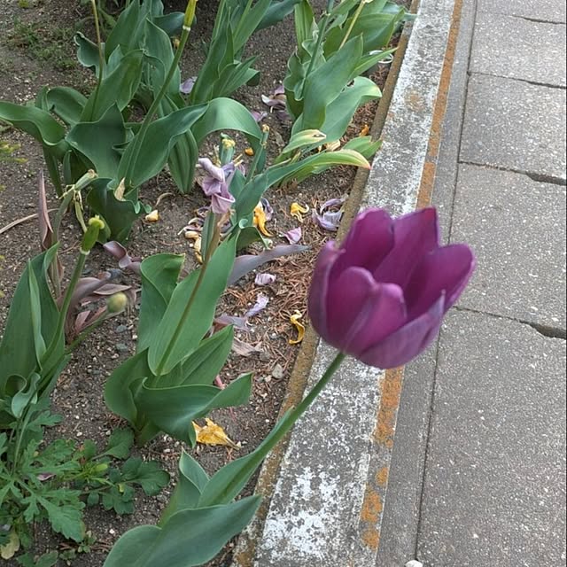 minnieさんの部屋