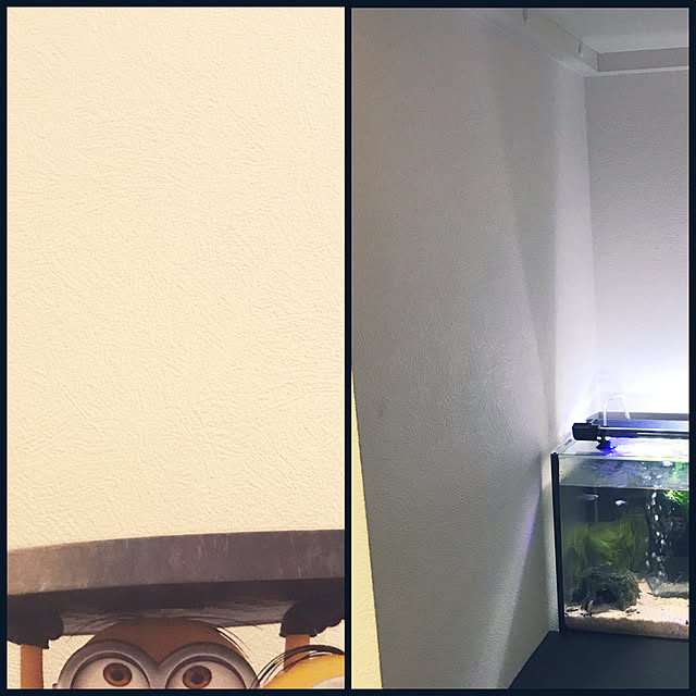 kouta_Co.さんの実例写真