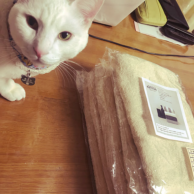 moyuhiさんの実例写真