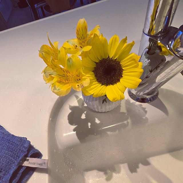 mutyukingさんの実例写真