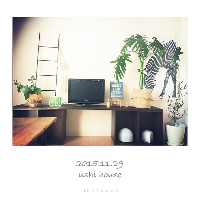 natsu.remonさんの実例写真