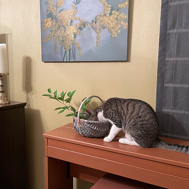 k-tomさんの実例写真