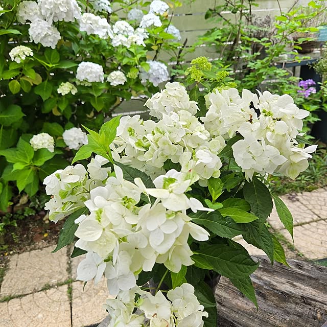min_nimさんの部屋