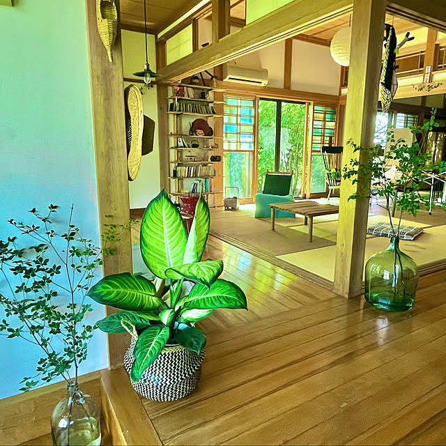 Erikoさんの部屋