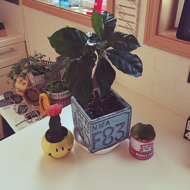 marinさんの実例写真