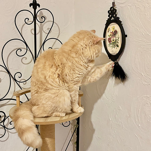 naokoさんの部屋