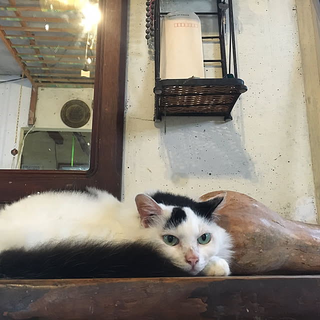 実例写真