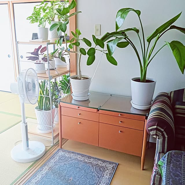 hanachanさんの部屋