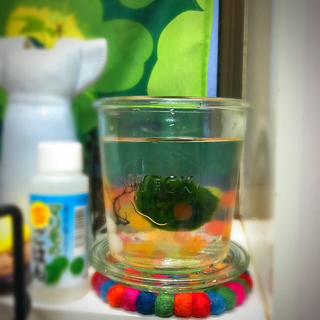 ayucchiさんの実例写真