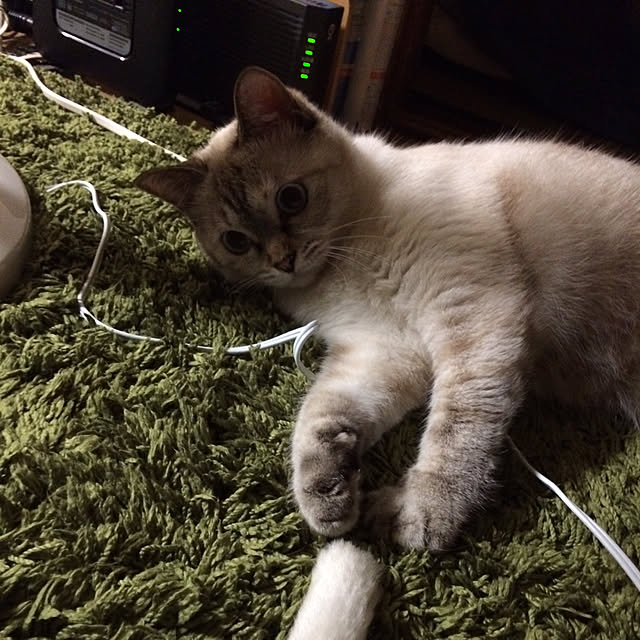 nachuさんの実例写真