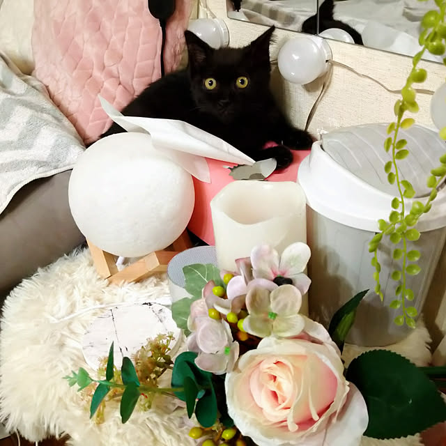 Tさんの実例写真
