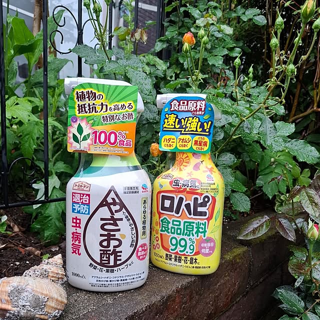 midoriさんの実例写真