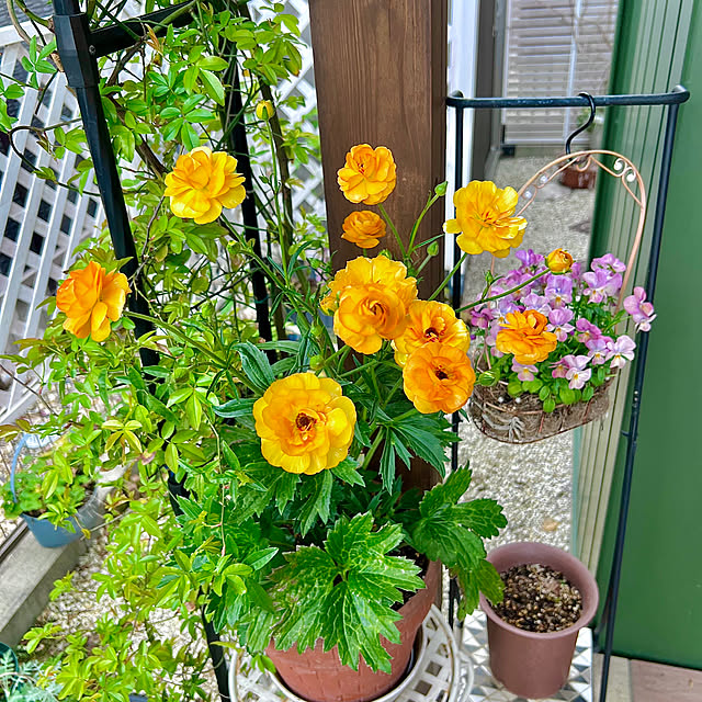 hinamamaさんの部屋