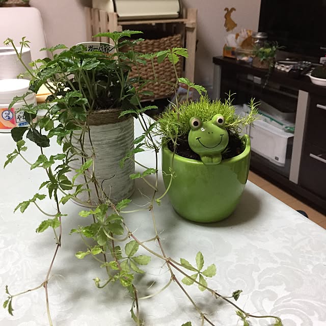 emiさんの実例写真