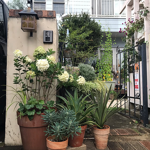 cottoncandy-cafeさんの実例写真