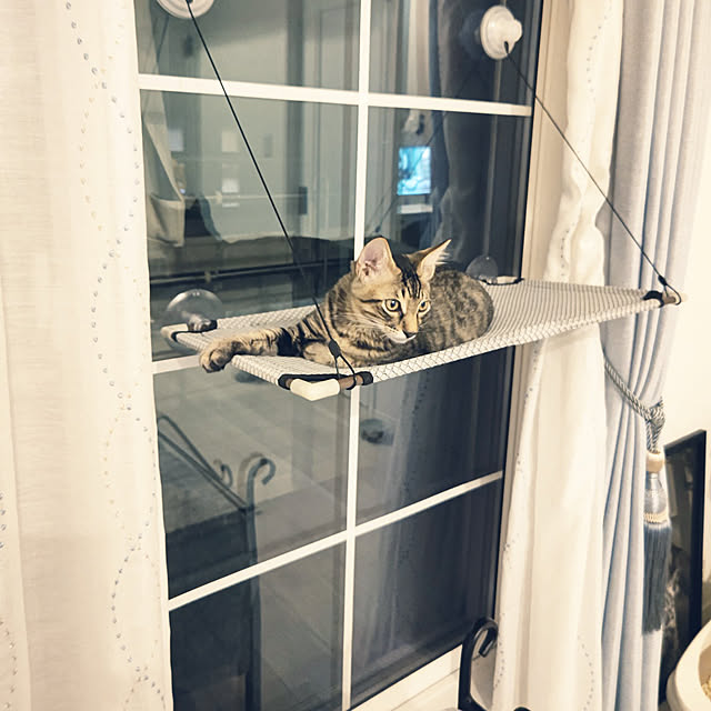 nyanpeiさんの実例写真