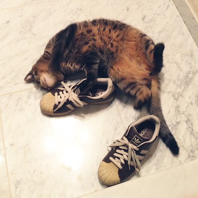 6さんの実例写真