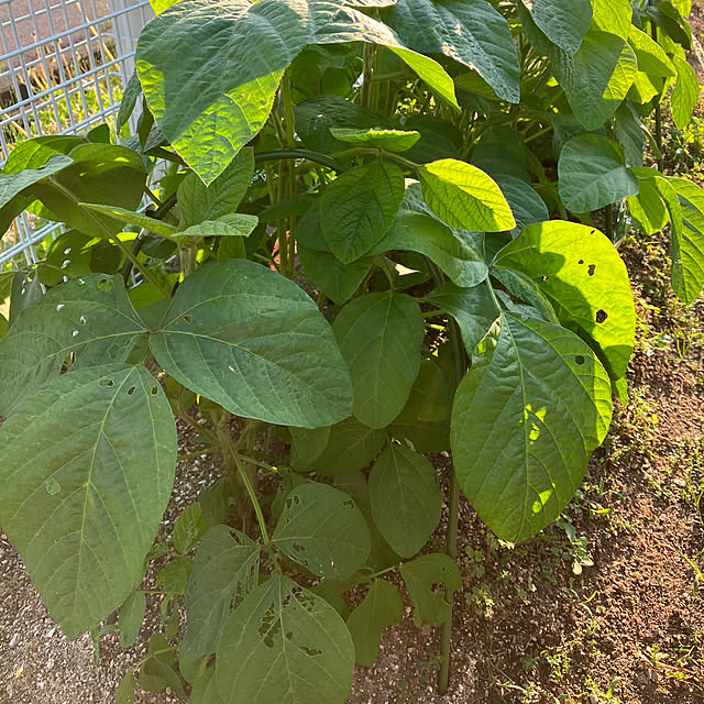 tommさんの部屋