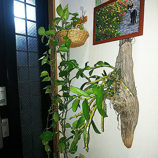 mitsuyama3136さんの実例写真
