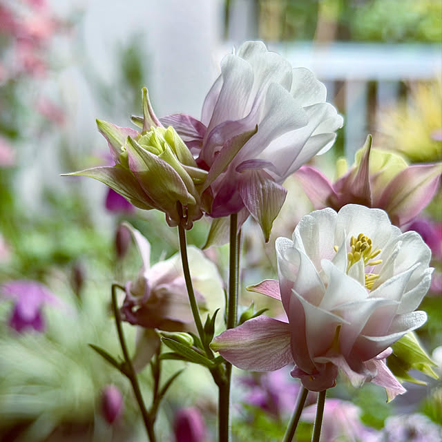 DAYONEさんの部屋