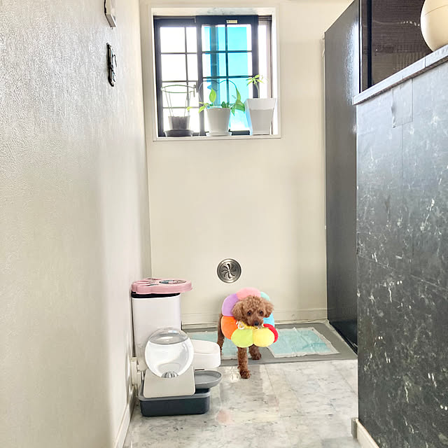 MOMOMAMAさんの実例写真