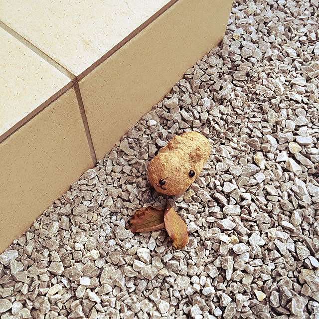 nonさんの実例写真